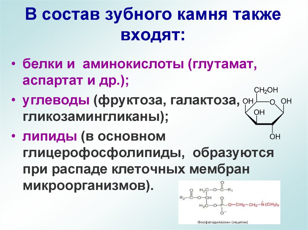 В состав зубного камня также входят: