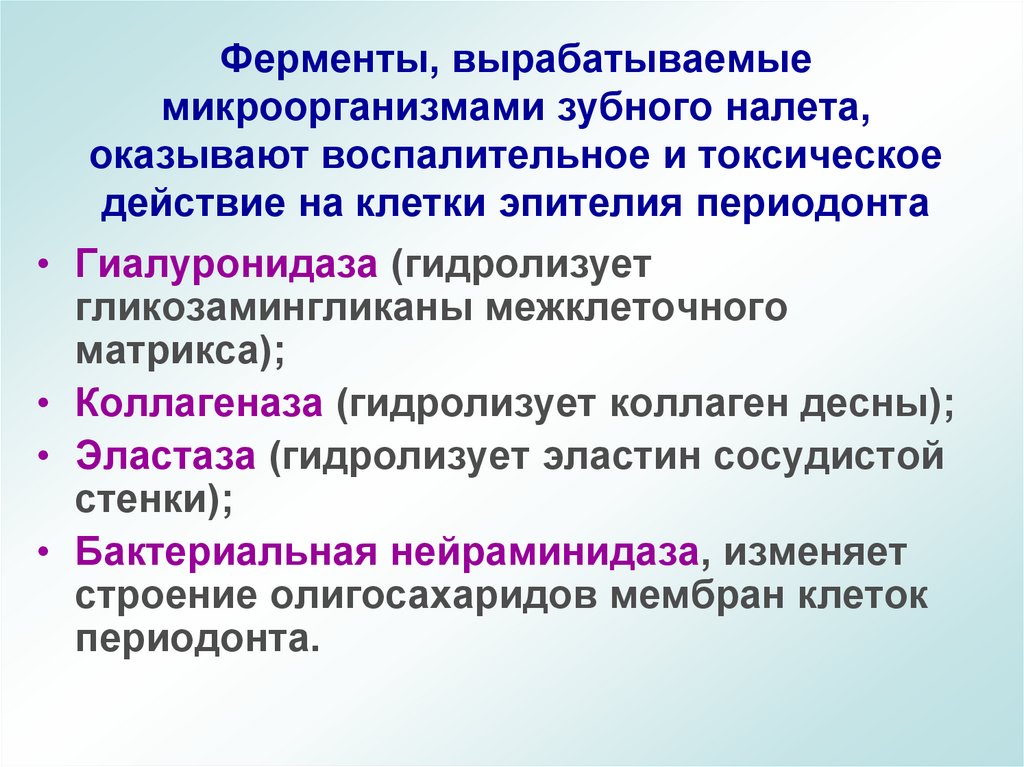 Ферменты, вырабатываемые микроорганизмами зубного налета, оказывают воспалительное и токсическое действие на клетки эпителия