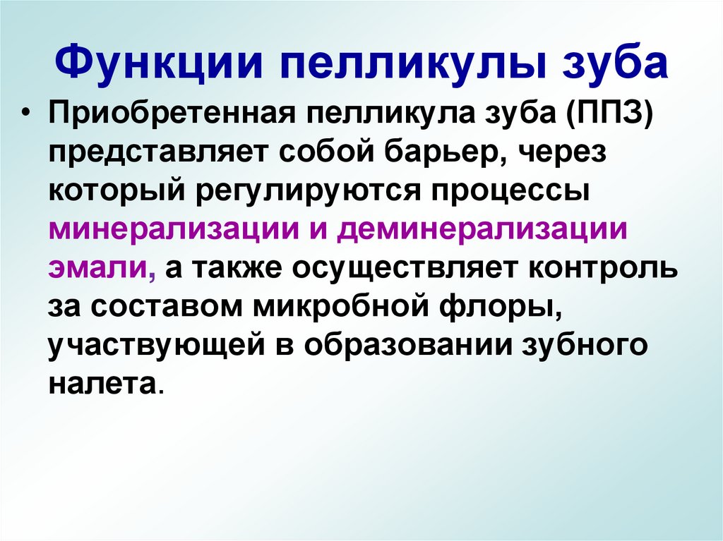 Функции пелликулы зуба