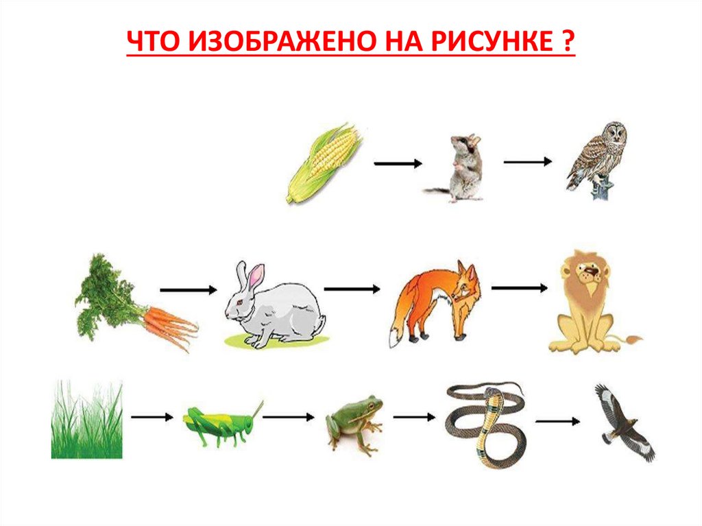 ЧТО ИЗОБРАЖЕНО НА РИСУНКЕ ?