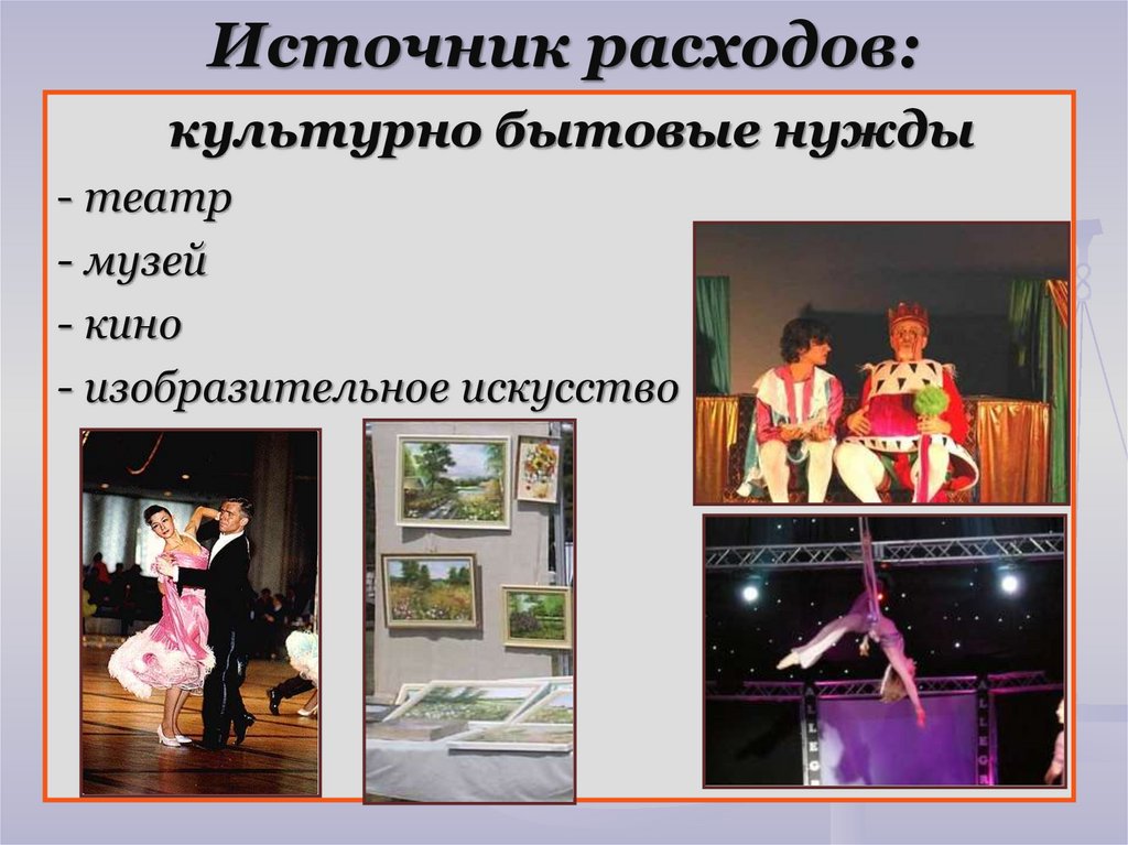 Источник расходов: