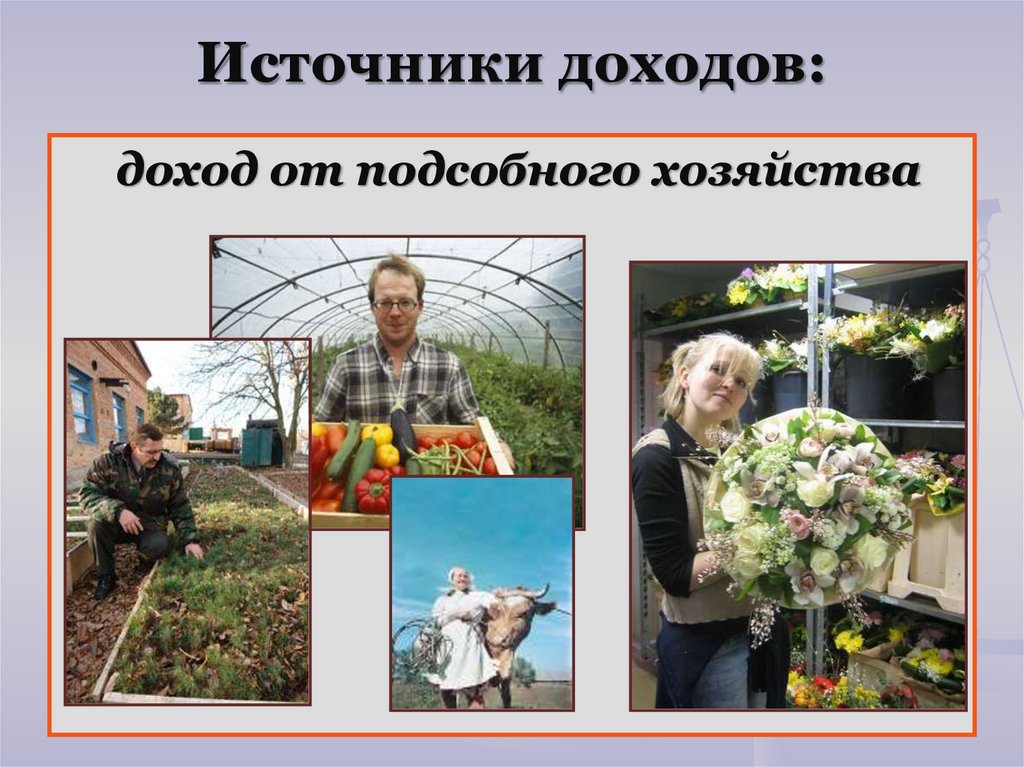 Источники доходов: