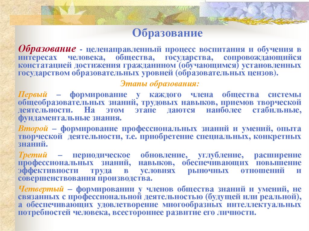 Образование