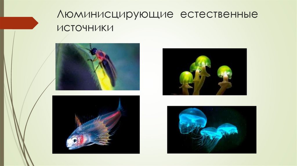 Люминисцирующие естественные источники