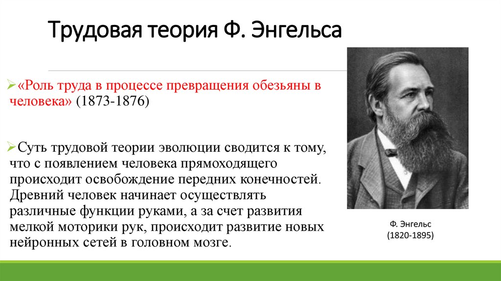 Трудовая теория Ф. Энгельса