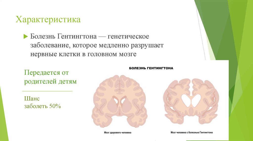 Характеристика