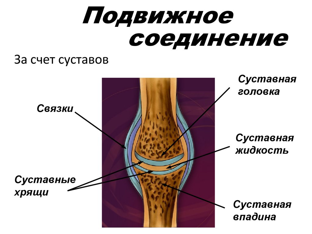 Подвижное соединение