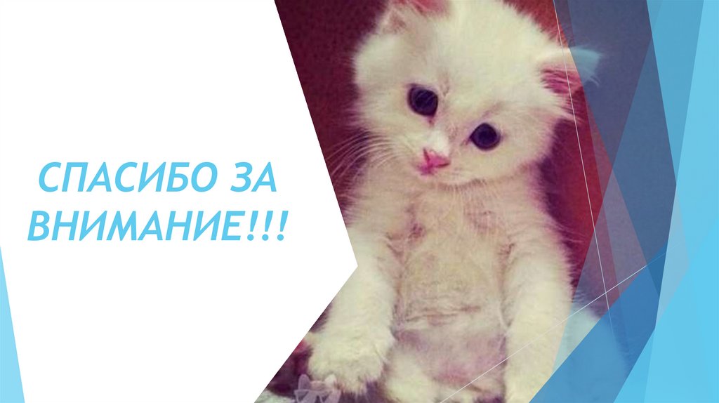 СПАСИБО ЗА ВНИМАНИЕ!!!