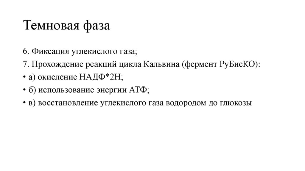 Темновая фаза