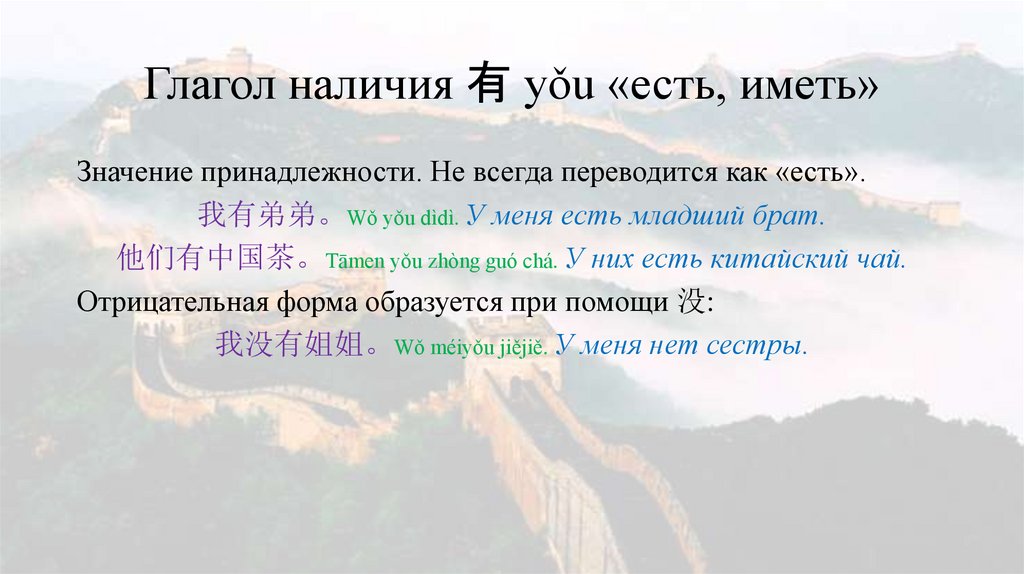 Глагол наличия 有 yǒu «есть, иметь»