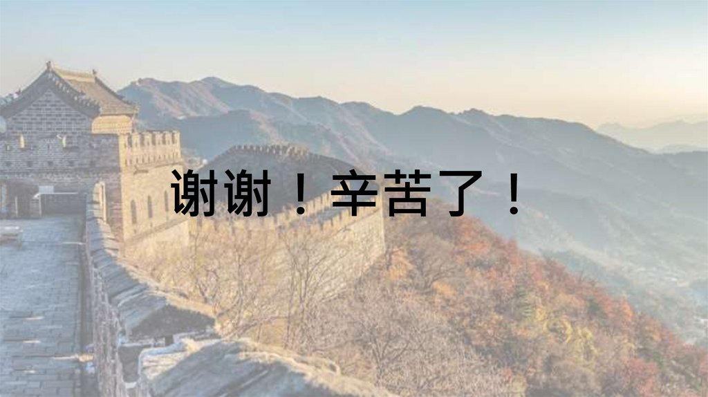 谢谢！辛苦了！