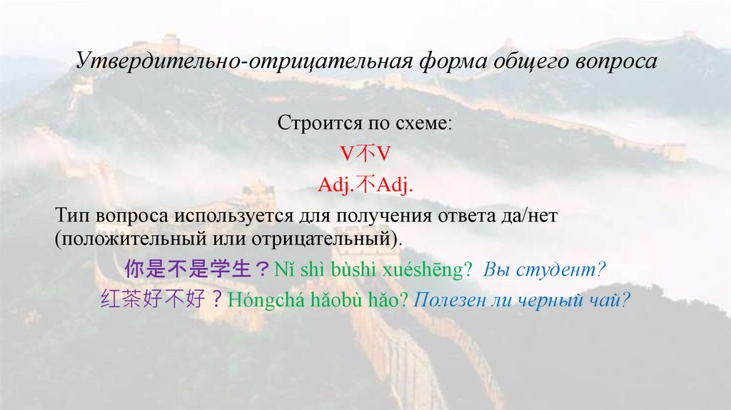 Утвердительно-отрицательная форма общего вопроса