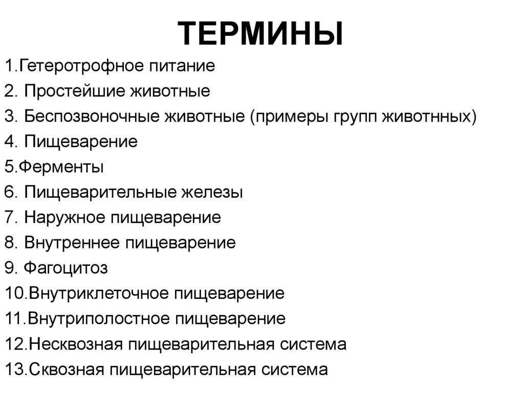 ТЕРМИНЫ