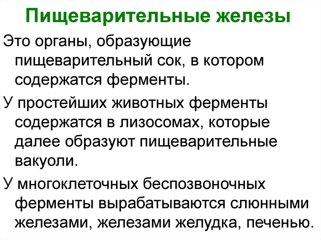 Пищеварительные железы