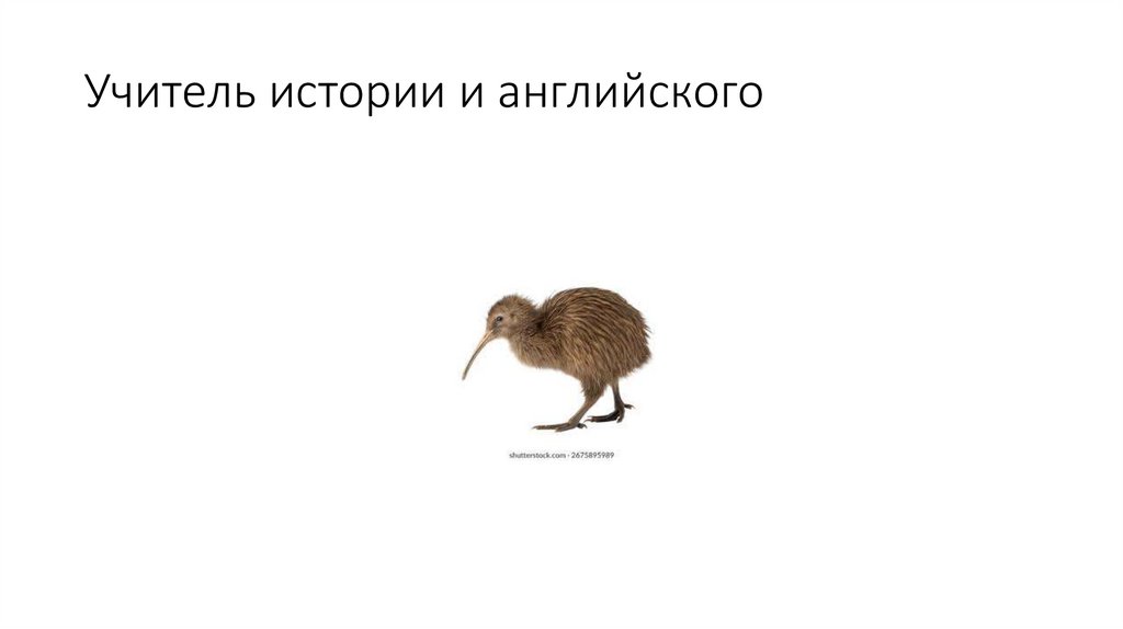 Учитель истории и английского