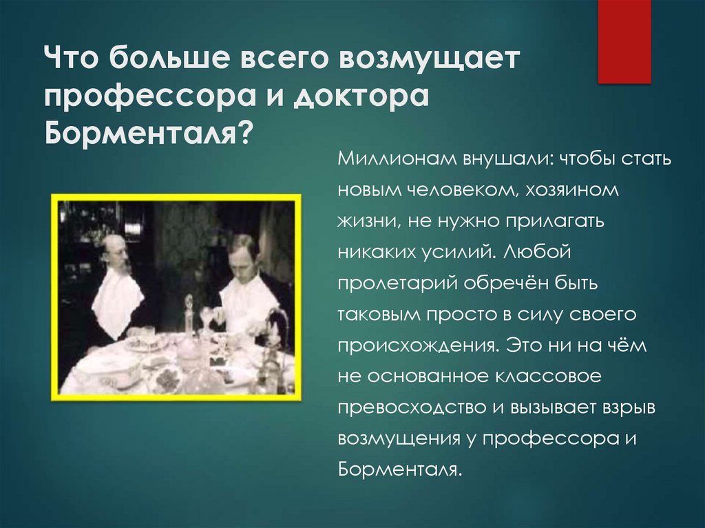 Что больше всего возмущает профессора и доктора Борменталя?