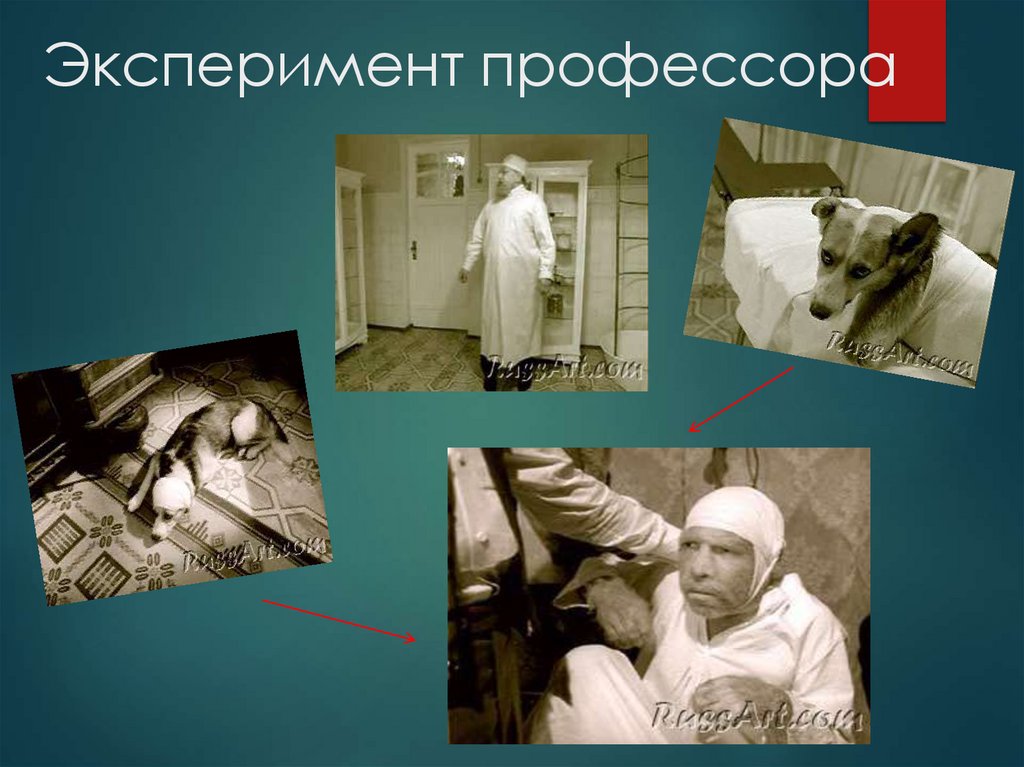 Эксперимент профессора