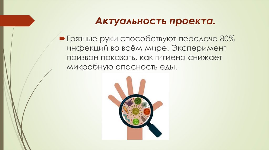 Актуальность проекта.