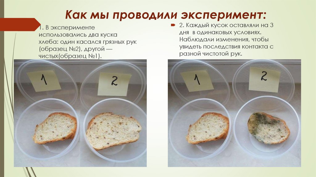 Как мы проводили эксперимент: