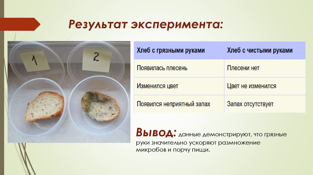 Результат эксперимента: