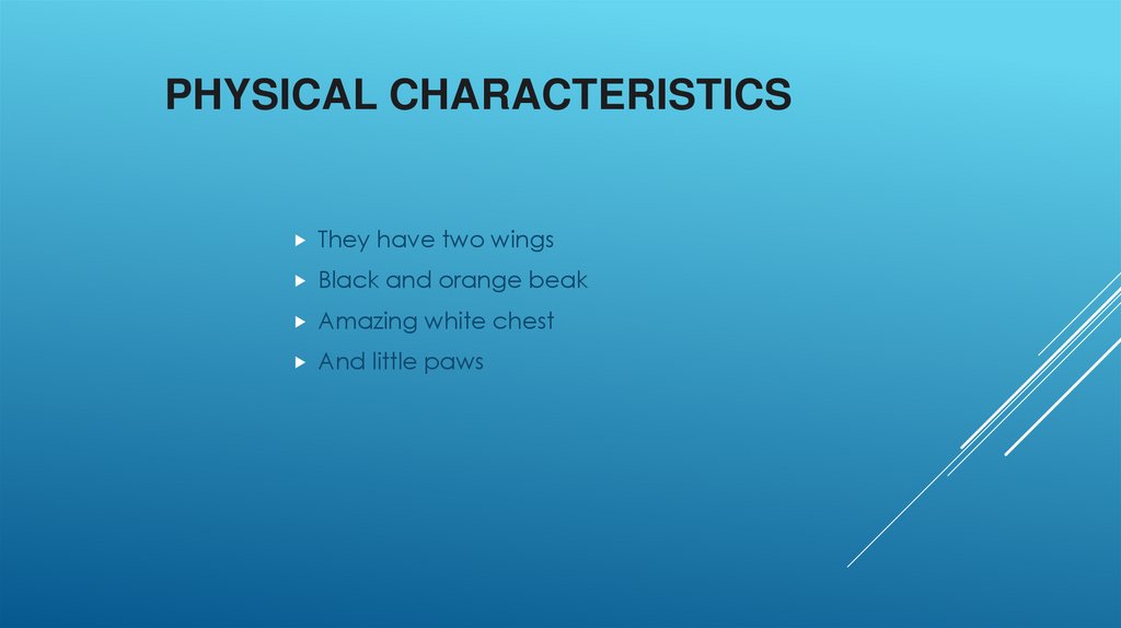 Physical Characteristics