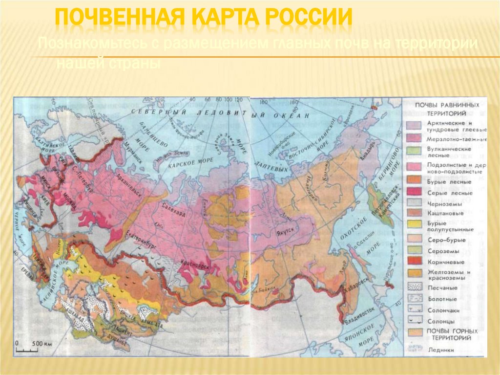 Почвенная карта России
