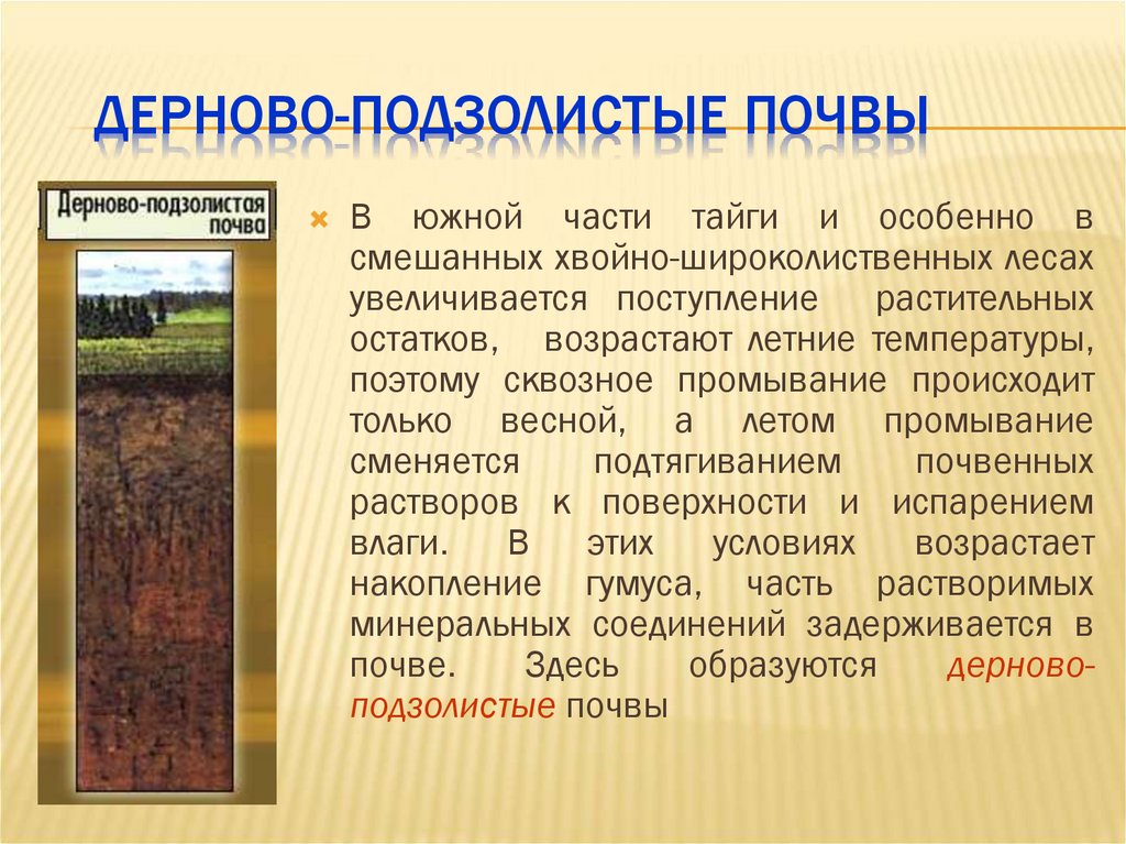 Дерново-подзолистые почвы