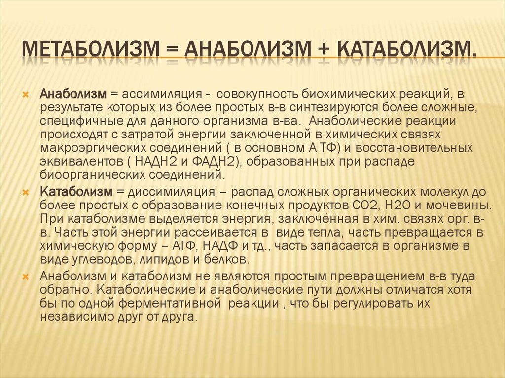 Метаболизм = Анаболизм + Катаболизм.