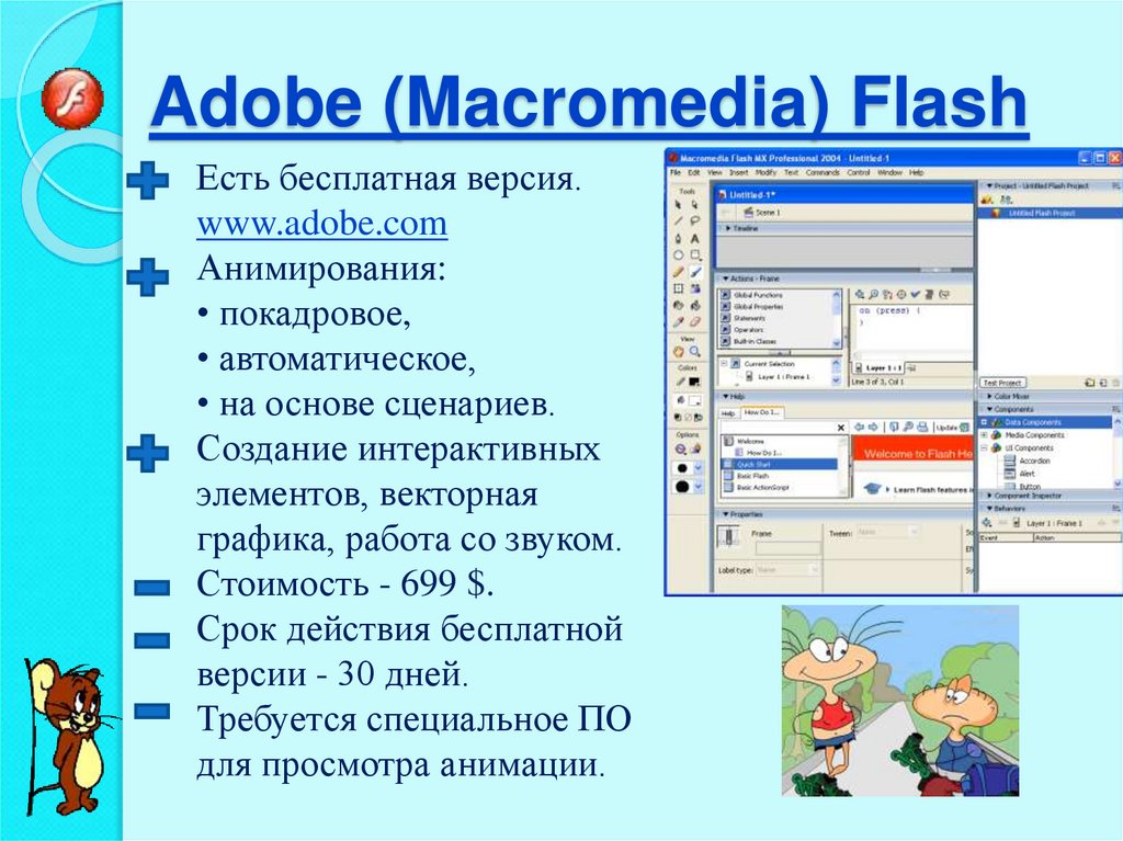 Adobe (Macromedia) Flash