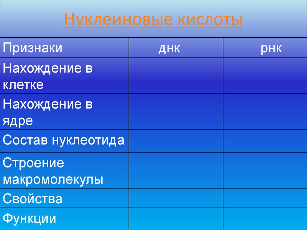 Нуклеиновые кислоты