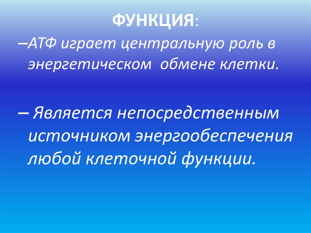 ФУНКЦИЯ: