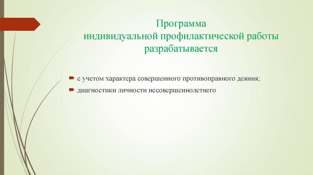 Программа индивидуальной профилактической работы разрабатывается