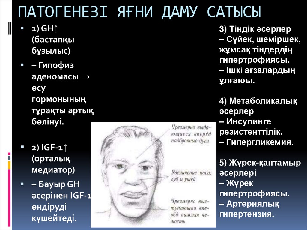 ПАТОГЕНЕЗІ ЯҒНИ ДАМУ САТЫСЫ