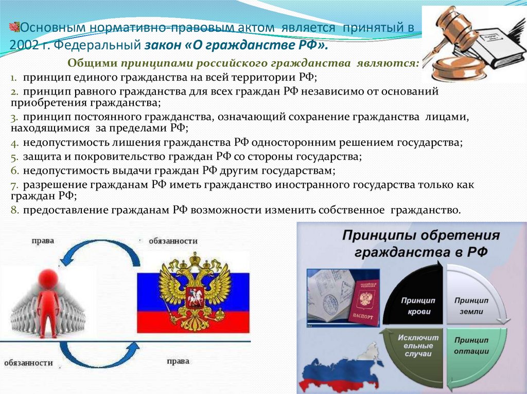 Основным нормативно-правовым актом является принятый в 2002 г. Федеральный закон «О гражданстве РФ».