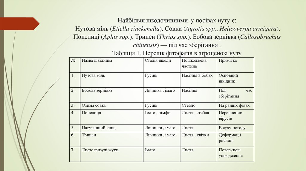 Найбільш шкодочинними у посівах нуту є: Нутова міль (Etiella zinckenella). Совки (Agrotis spp., Helicoverpa armigera). Попелиці