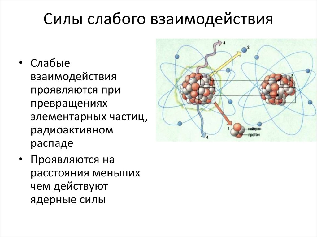 Силы слабого взаимодействия