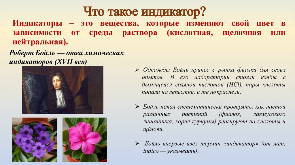 Что такое индикатор?