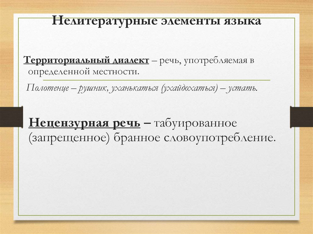 Нелитературные элементы языка