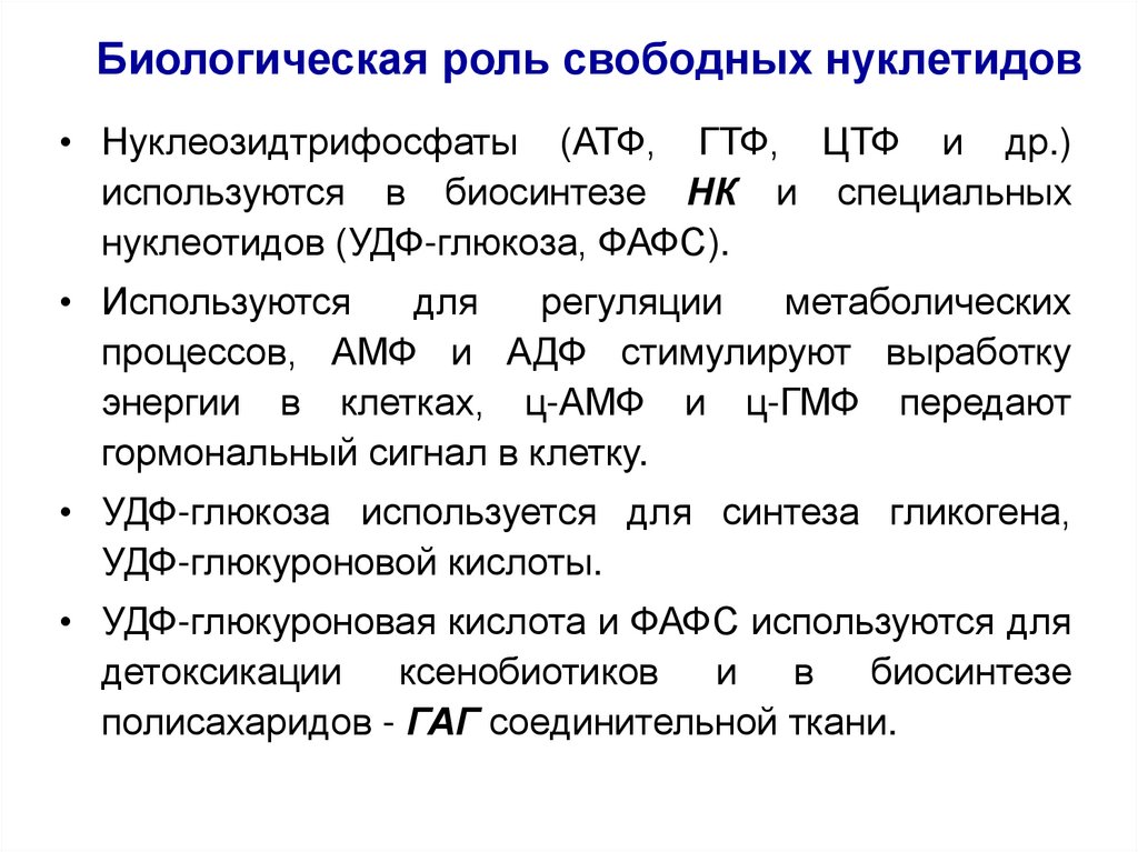 Биологическая роль свободных нуклетидов