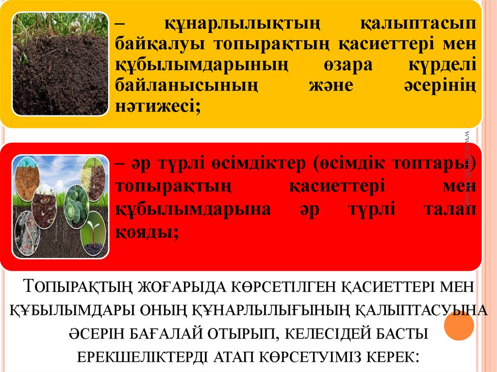 Топырақтың жоғарыда көрсетілген қасиеттері мен құбылымдары оның құнарлылығының қалыптасуына әсерін бағалай отырып, келесідей