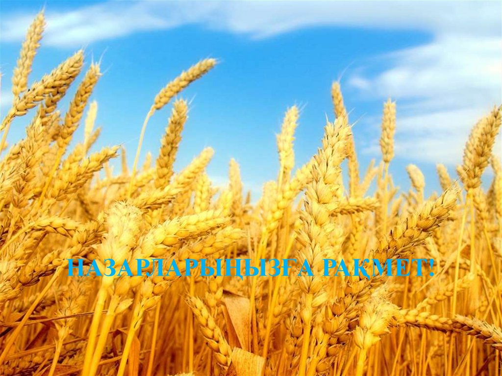 Қоректік элементтердің шығарылуы