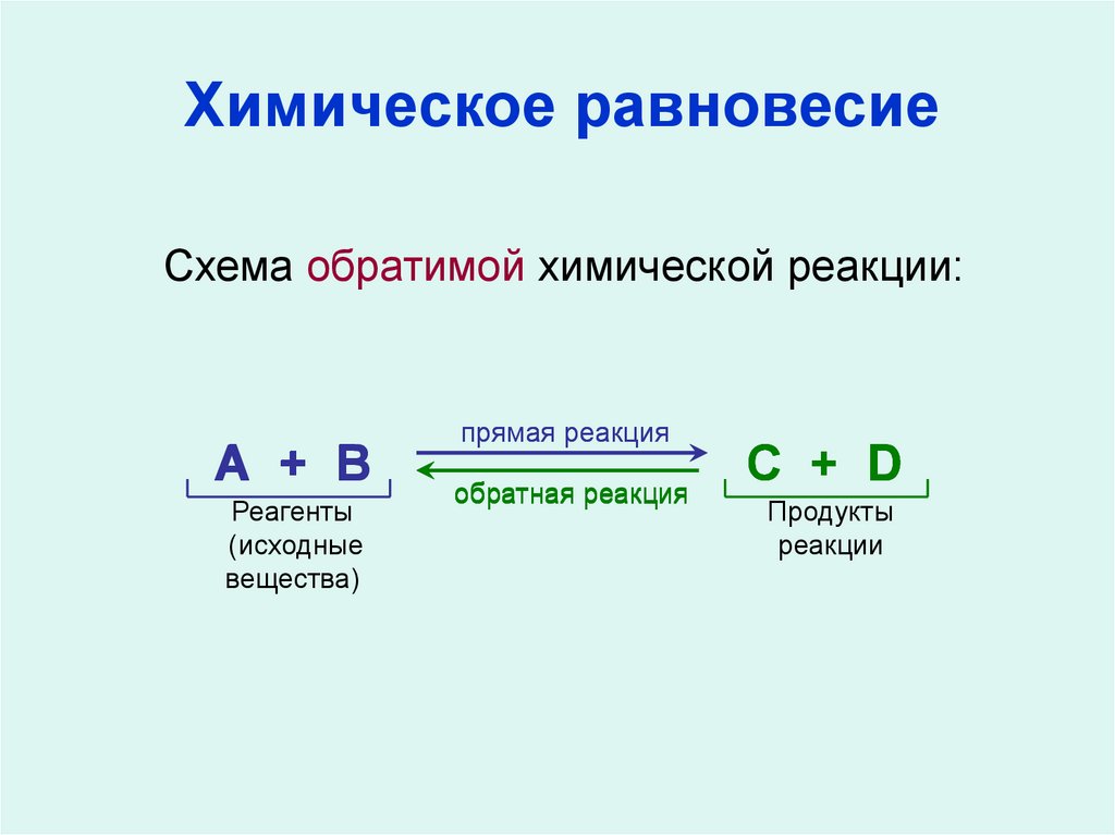 Химическое равновесие