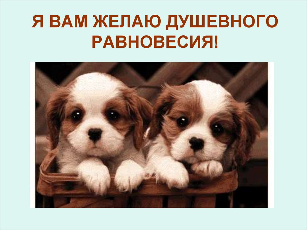 Я ВАМ ЖЕЛАЮ ДУШЕВНОГО РАВНОВЕСИЯ!
