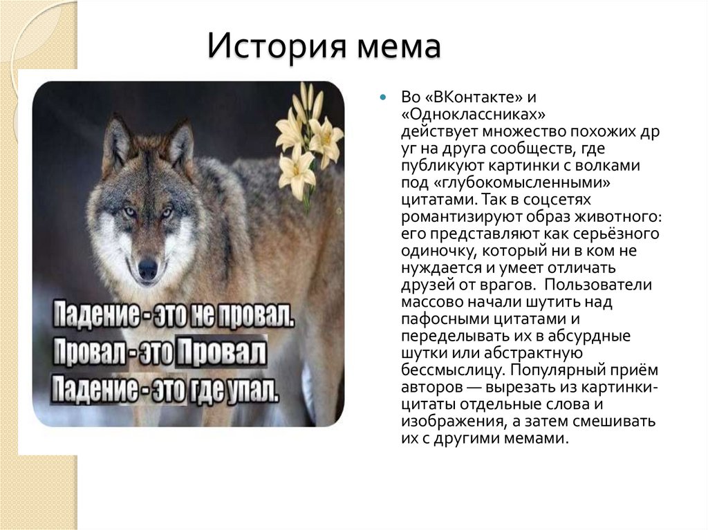 История мема