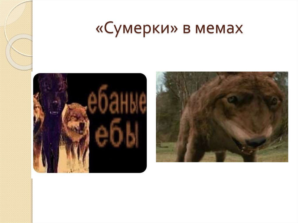 «Сумерки» в мемах