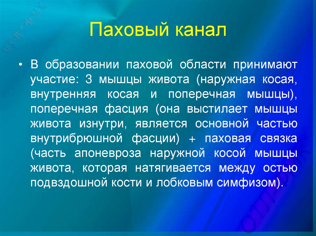 Паховый канал