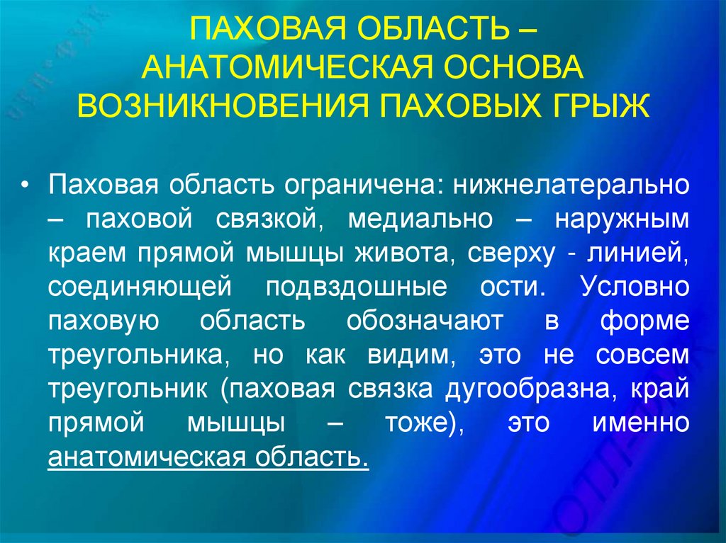 ПАХОВАЯ ОБЛАСТЬ – АНАТОМИЧЕСКАЯ ОСНОВА ВОЗНИКНОВЕНИЯ ПАХОВЫХ ГРЫЖ