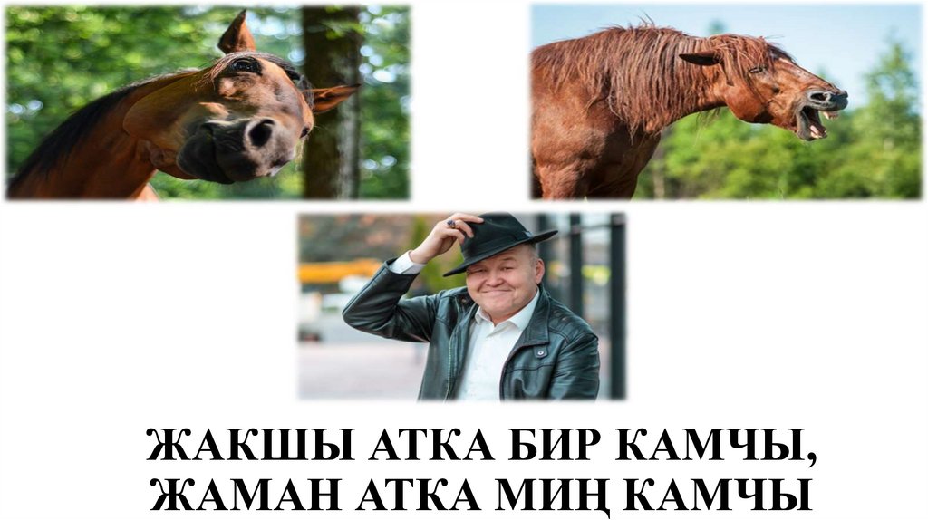 ЖАКШЫ АТКА БИР КАМЧЫ, ЖАМАН АТКА МИҢ КАМЧЫ