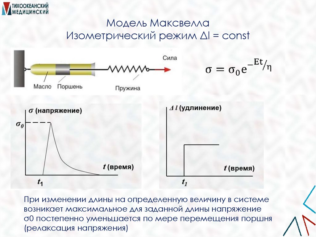 Модель Максвелла Изометрический режим Δl = сonst