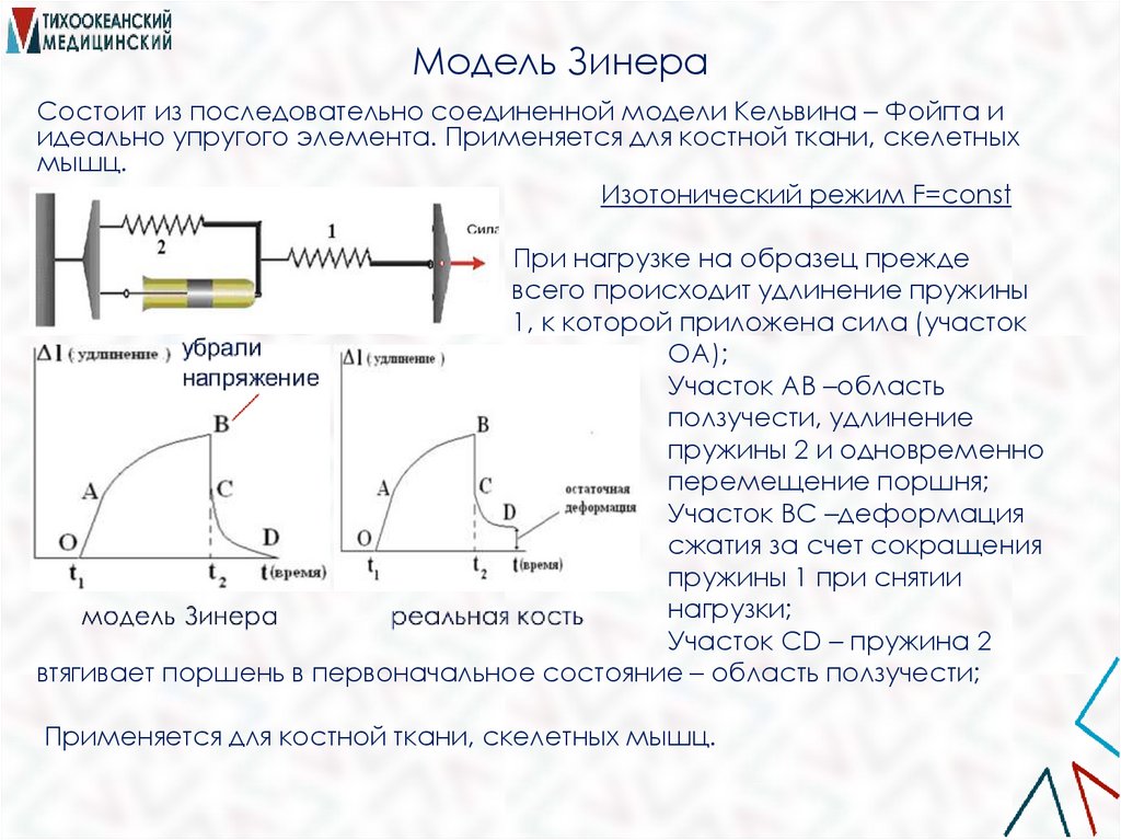 Модель Зинера